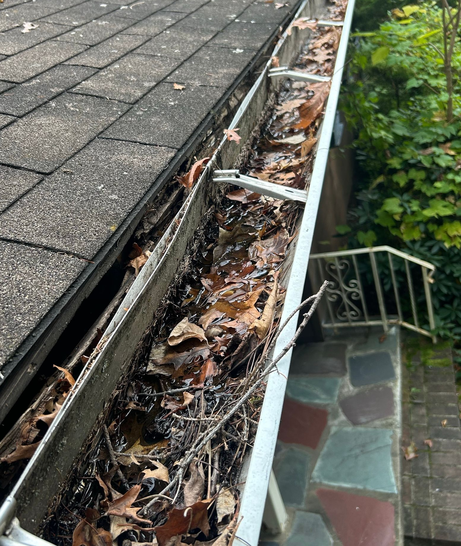 Clogged roof gutter full of leaves and debris beside gray shingles and stairs below