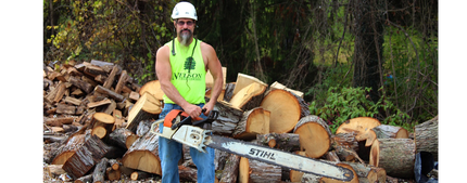 Stump Removal & Grinding Stump Removal & Grinding