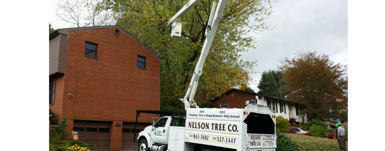 Vehicle with Tree Trimming Crane — North Huntingdon, PA — Nelson Tree Company