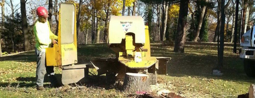 Worker in yellow gear operating a wood chipper in a wooded area