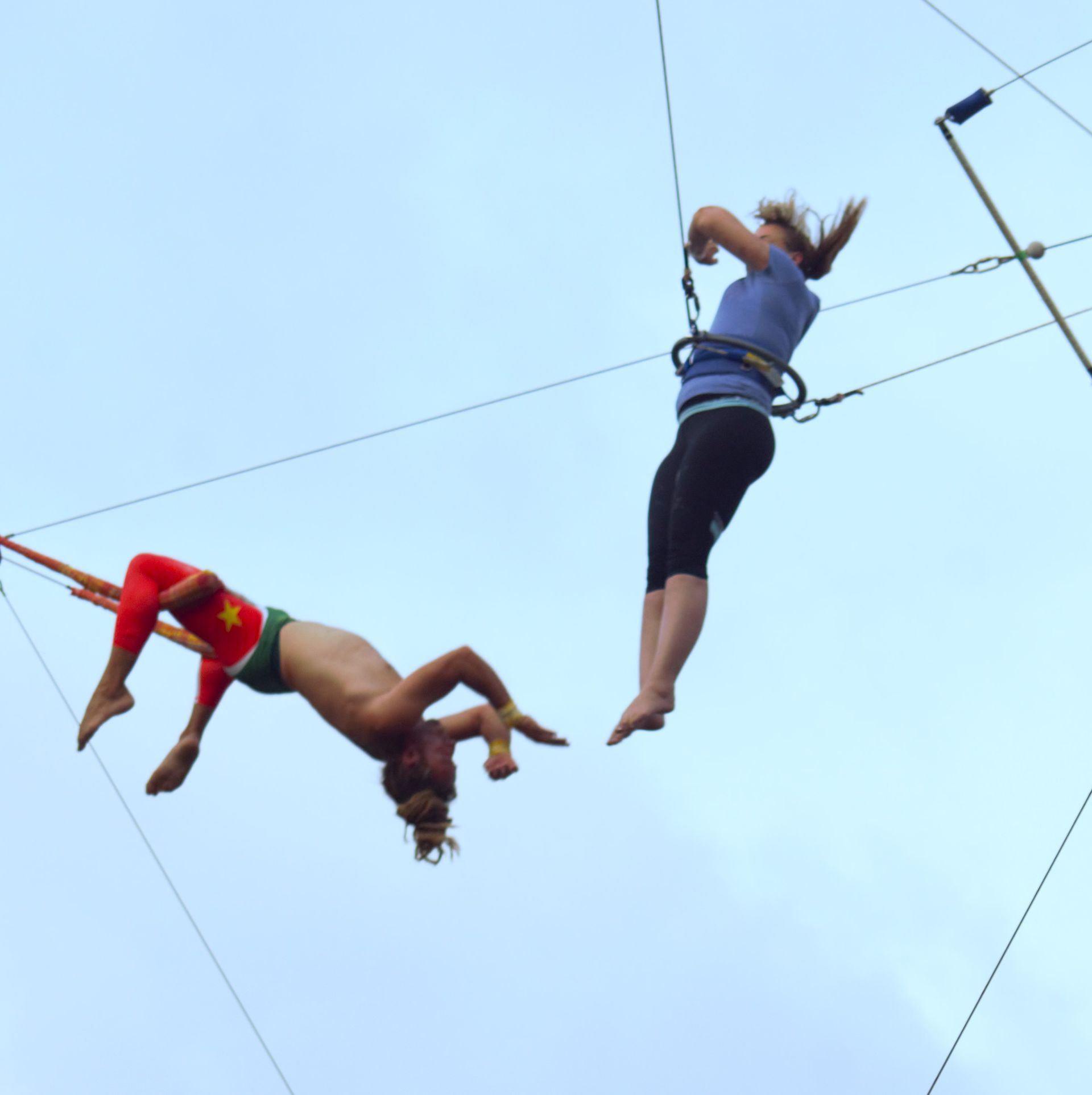 All Volante catch