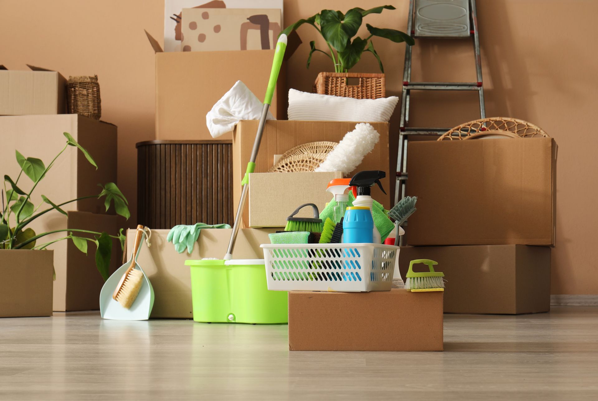 Deep Cleaning & Move-In / Move-Out Cleaning