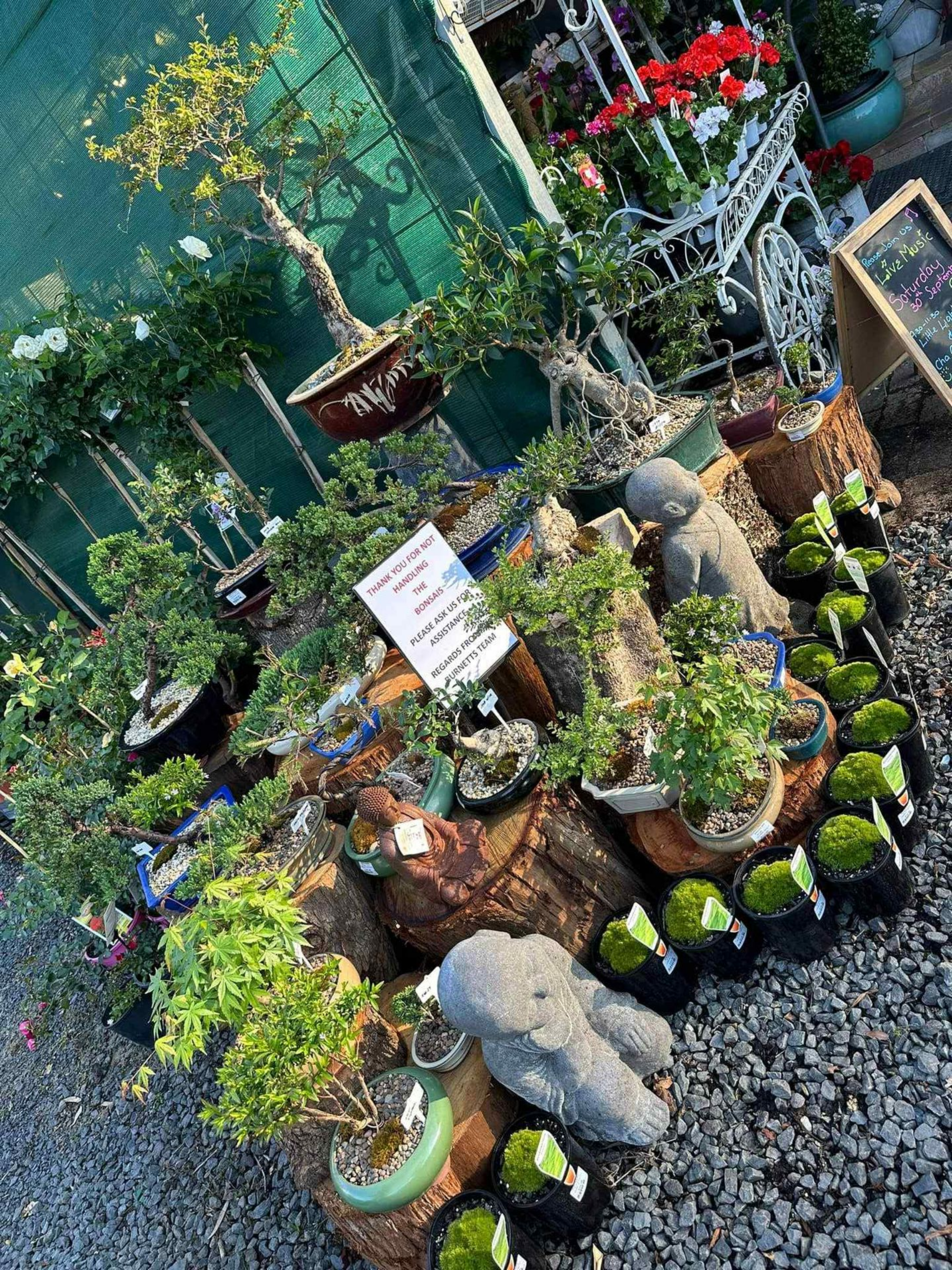 Small garden display with bonsai-like plants, rocks, and red flowers beside a gravel path — Burnetts On Barney in Kiama, NSW