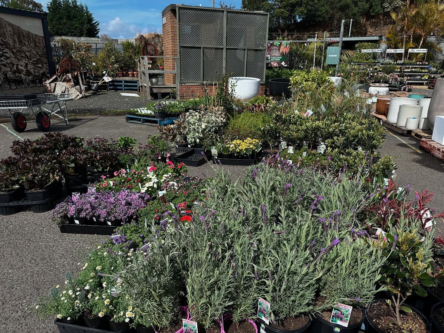 <p class="rteBlock">Outdoor Plant Nursery with Rows of Potted Flowers and Greenery — Burnetts On Barney in Kiama, NSW</p>