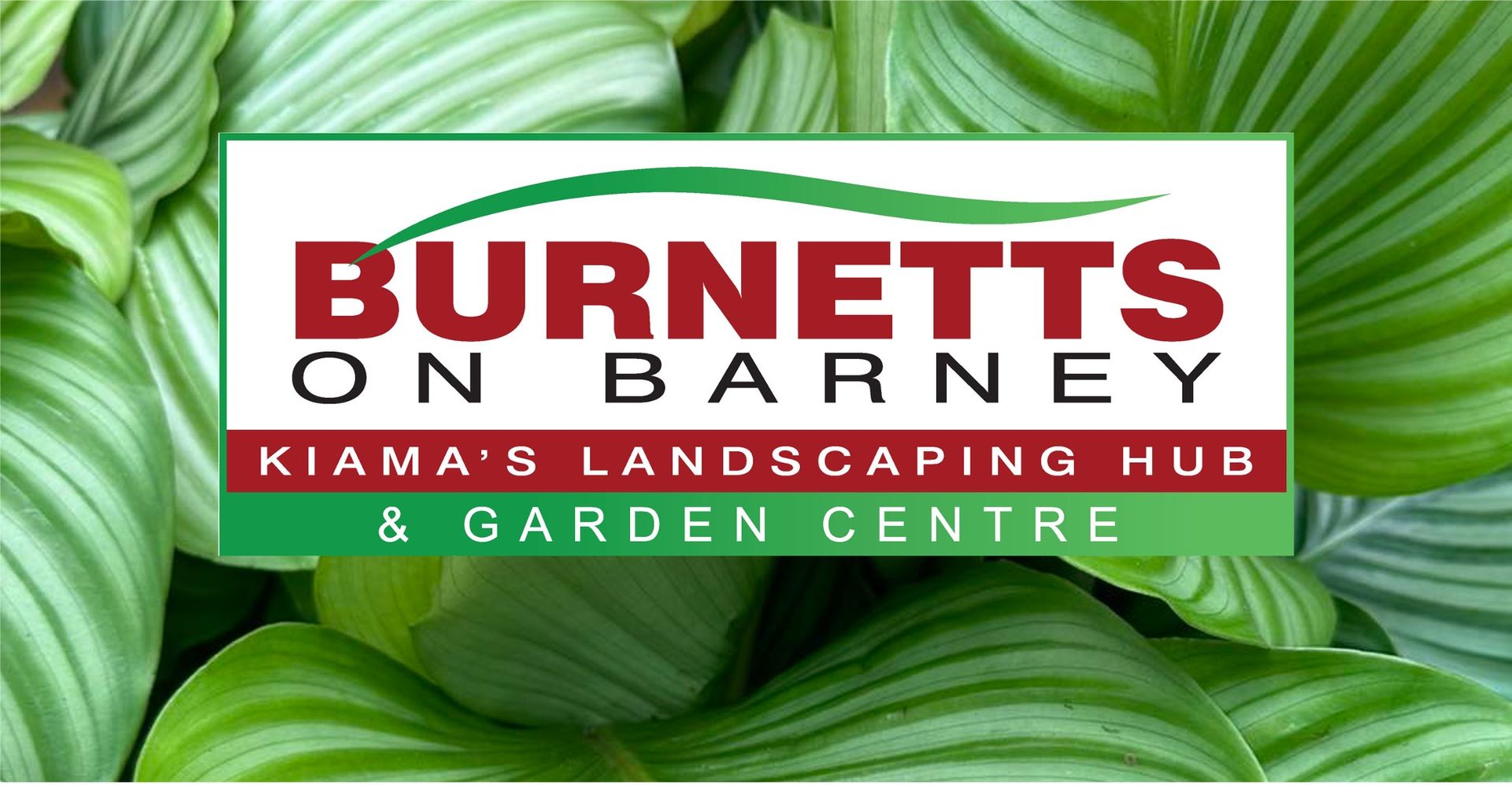 Burnetts On Barney