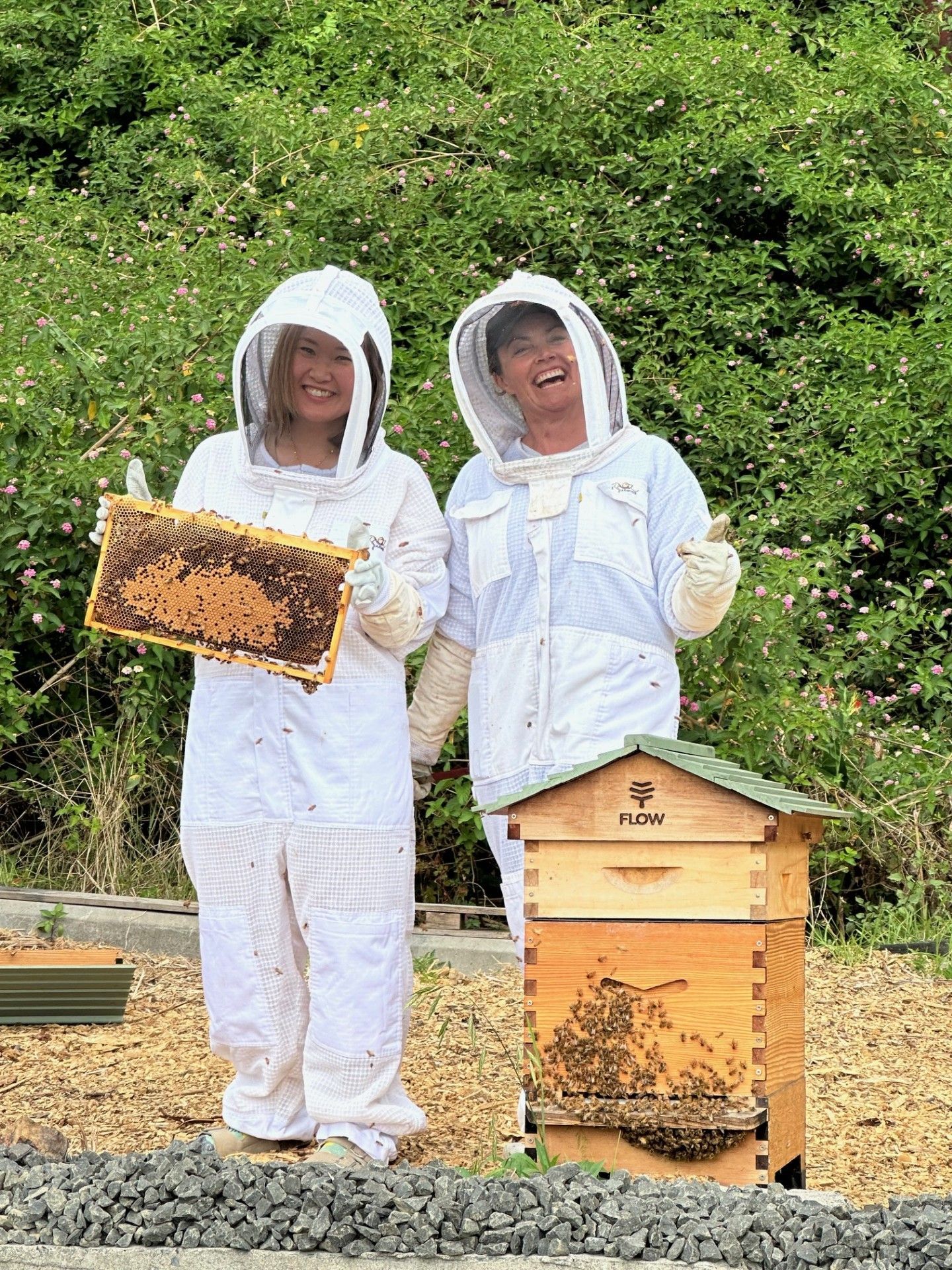 Two Women In Bee Suits Are Standing Next To A Beehive Holding A Honeycomb — Burnetts On Barney in Kiama, NSW