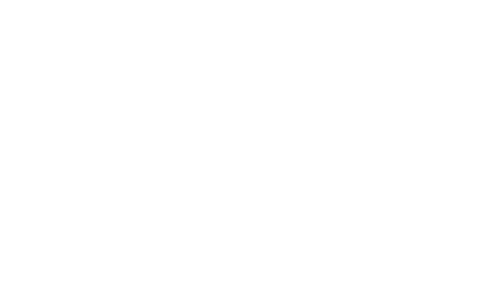 Horizon Solutions Logo in white.