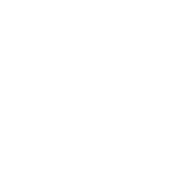 Empty white background.