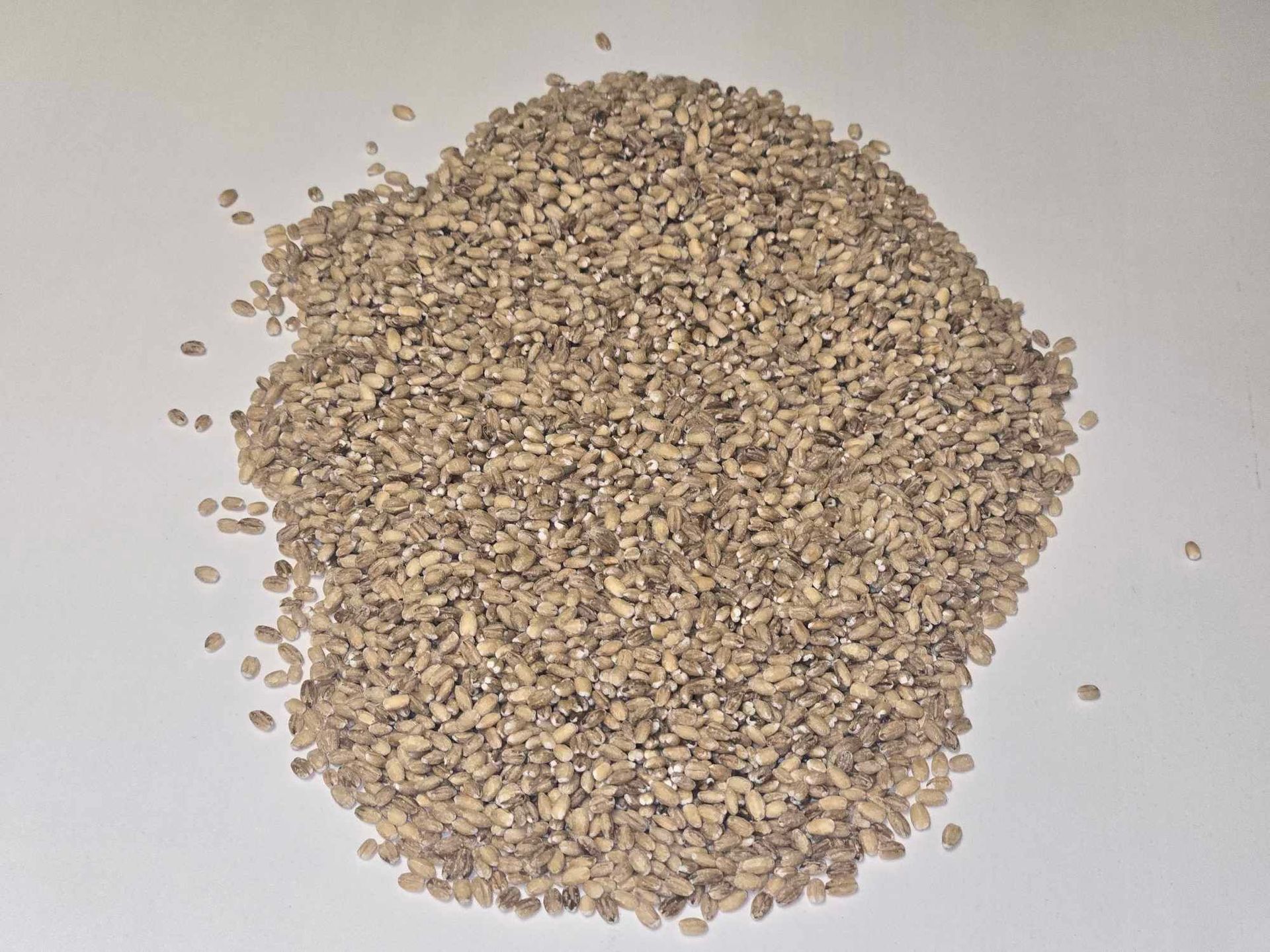 Pile of tan and dark gray seeds on a white surface.
