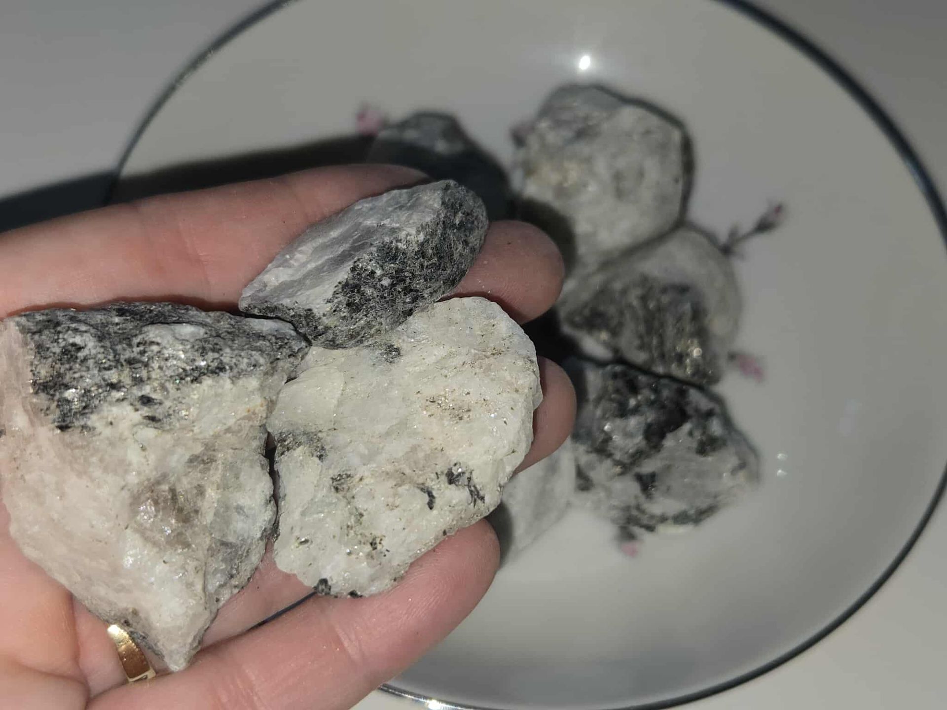 Chunks of a gray, crystalline substance in a floral-decorated white bowl.