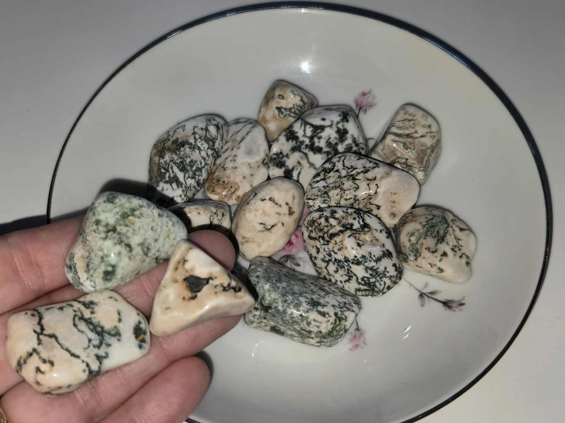 White bowl filled with gray and white speckled stones.