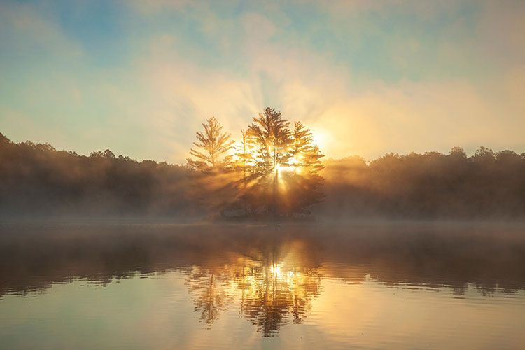 Sunburst through trees over a misty lake, creating a golden reflection on the water.