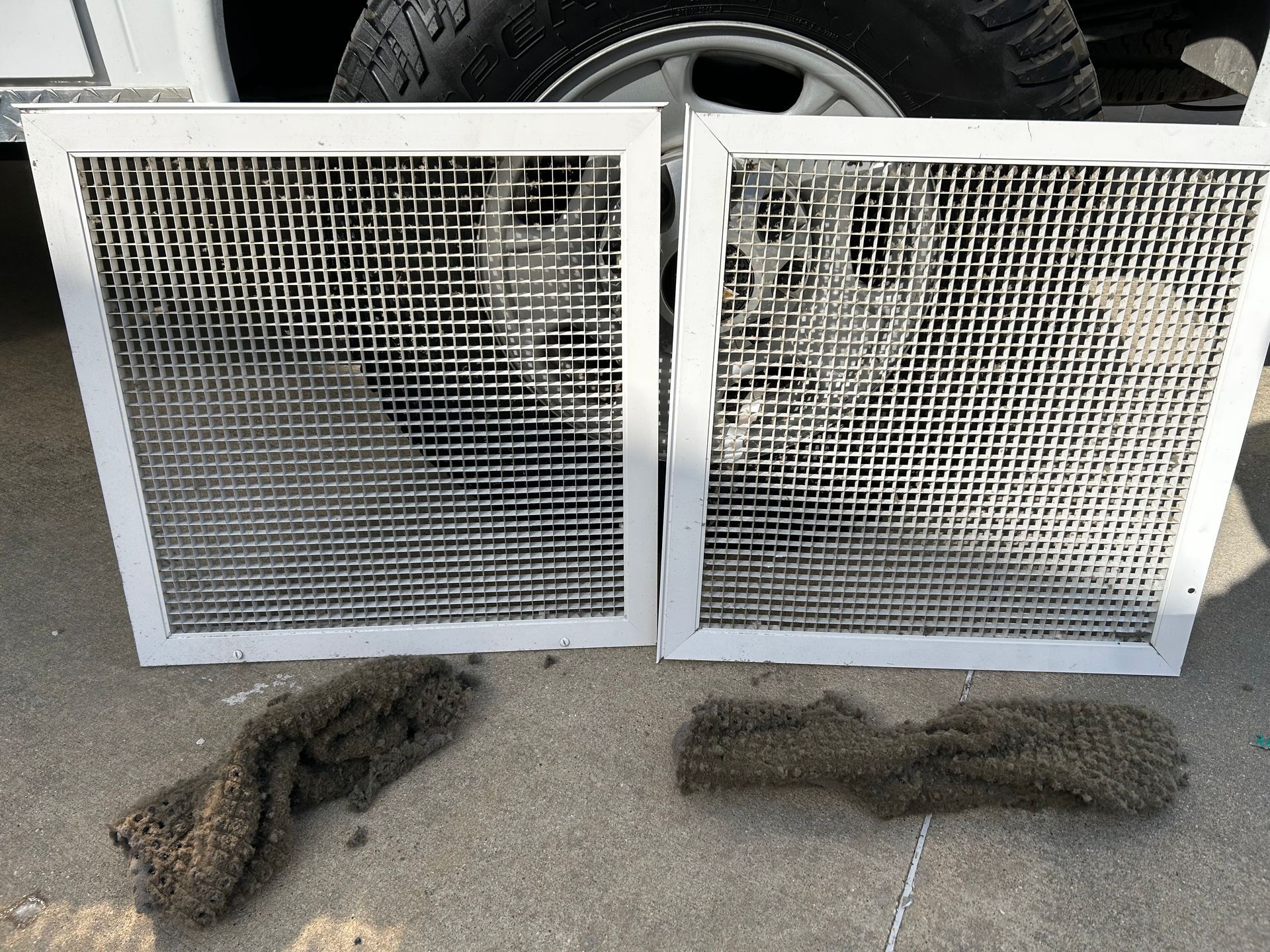 Two white mesh screens leaning against a tire, with two dead rats lying on the ground in front.