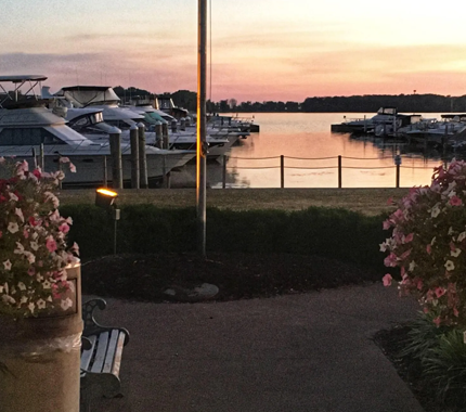 Boats docked at a marina during sunset; pink and purple sky, flowers in foreground.