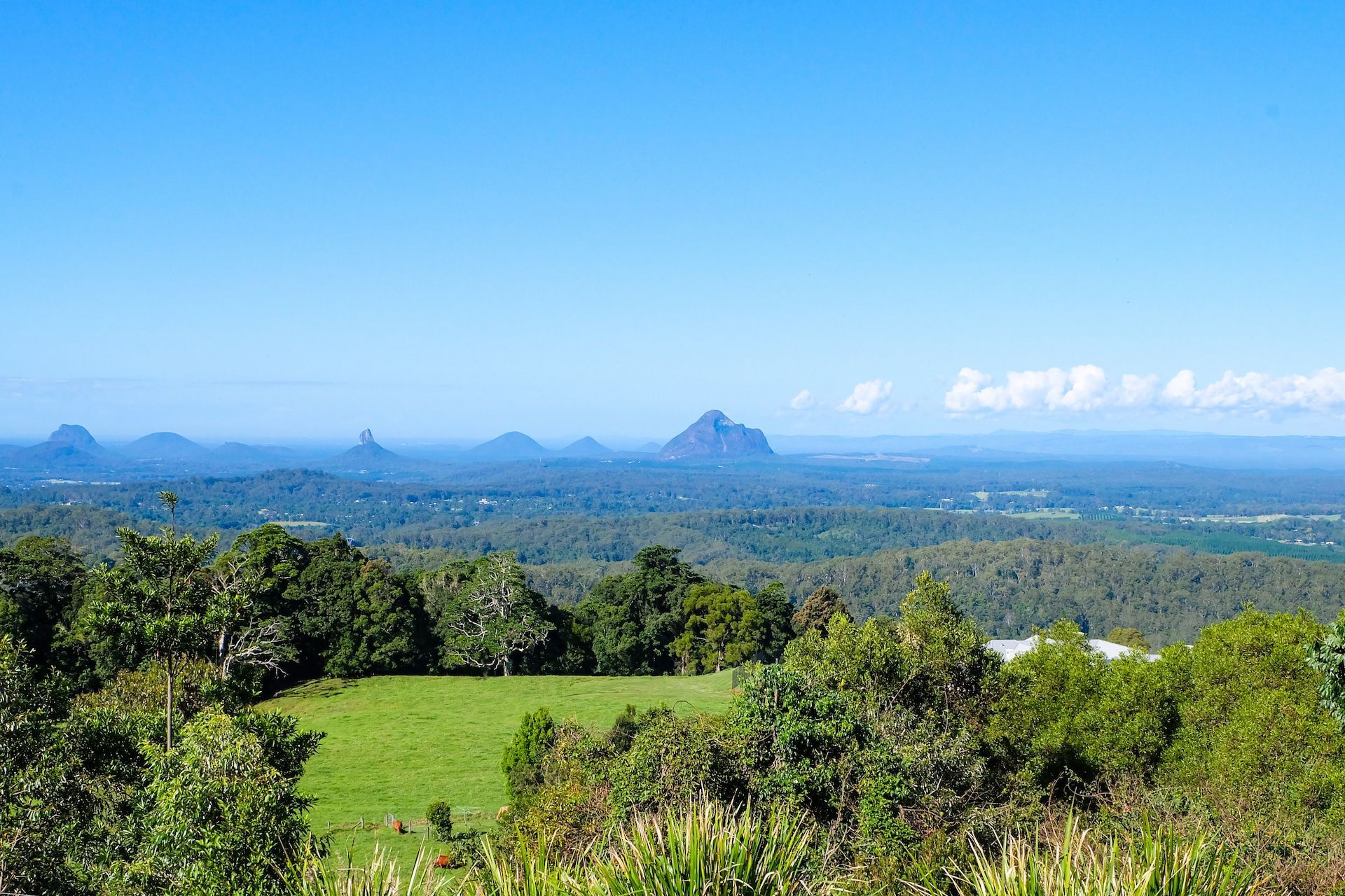 Green Field With Trees, Distant Mountains Under a Blue Sky — Hinterland Foliage in Maleny, QLD