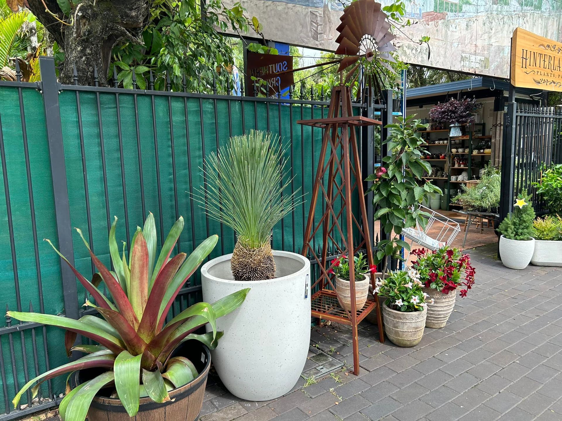 Plants in Pots Displayed Outside a Shop With a Decorative Windmill โ Hinterland Foliage in Landsborough, QLD