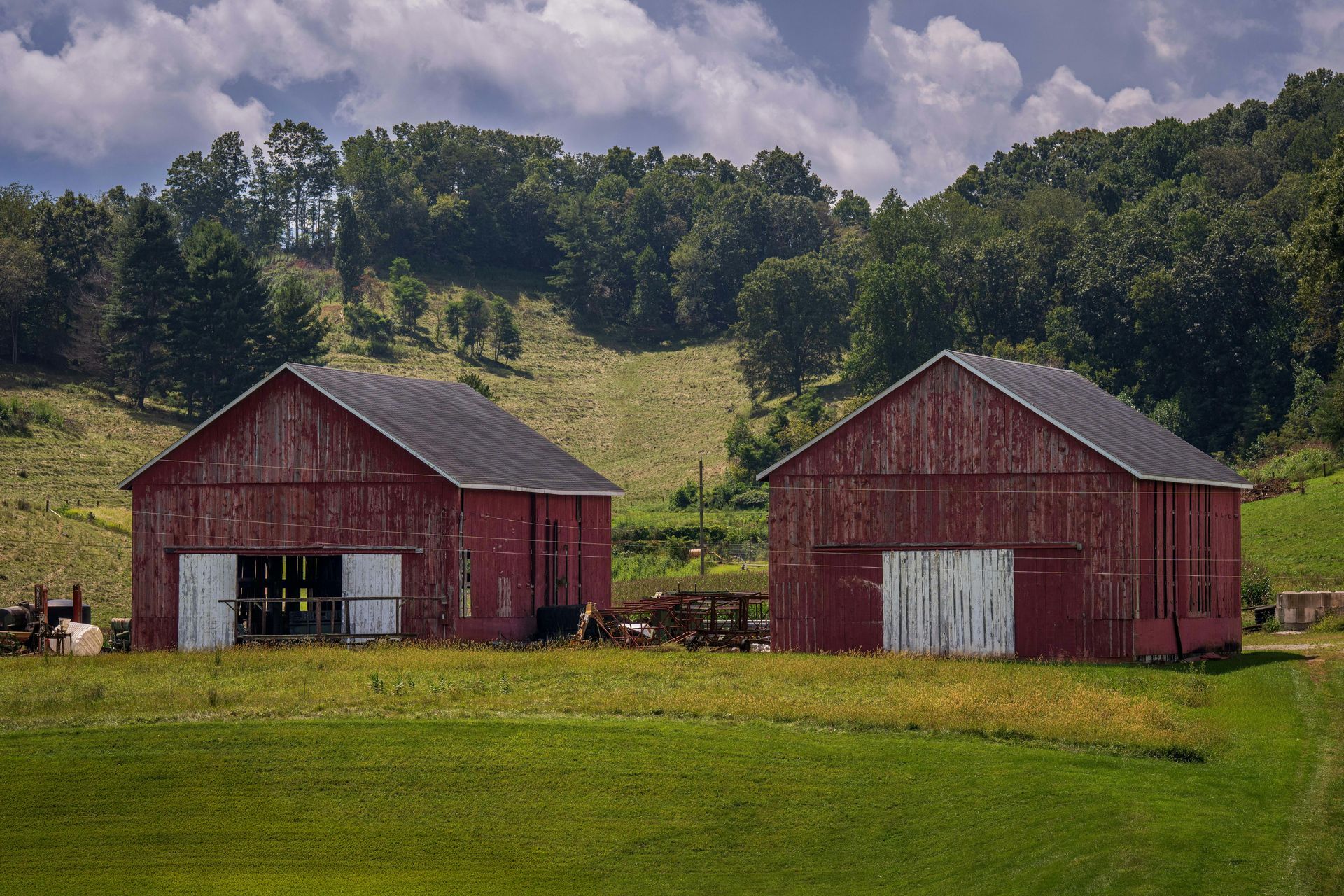Two red barns in a green field with trees and a cloudy sky behind them