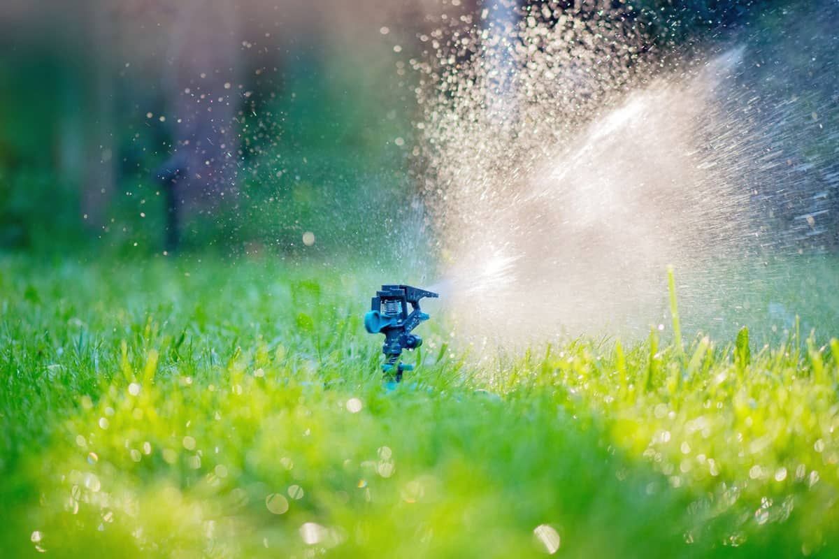 Blue sprinkler in a sunlit green garden, spraying water over blurred flowers and grass