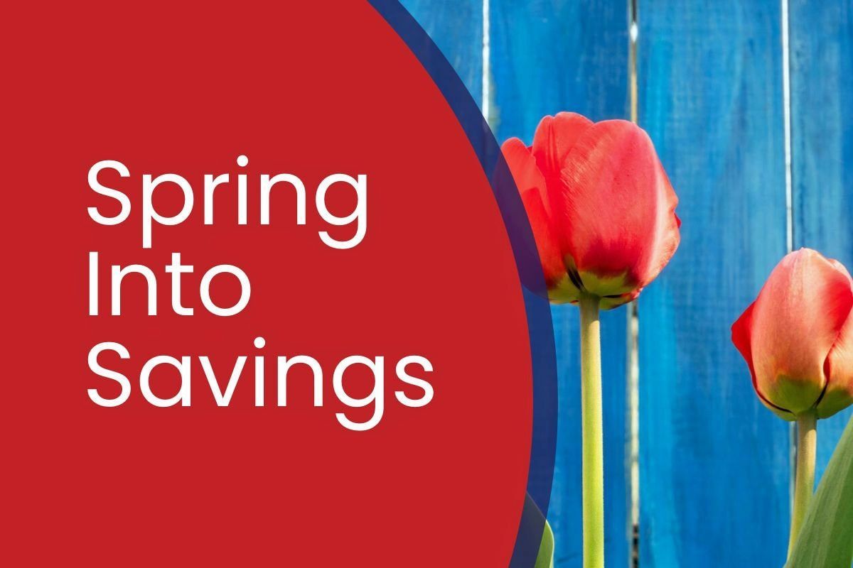 Spring sale banner with red circle text and pink tulips on a blue wooden background