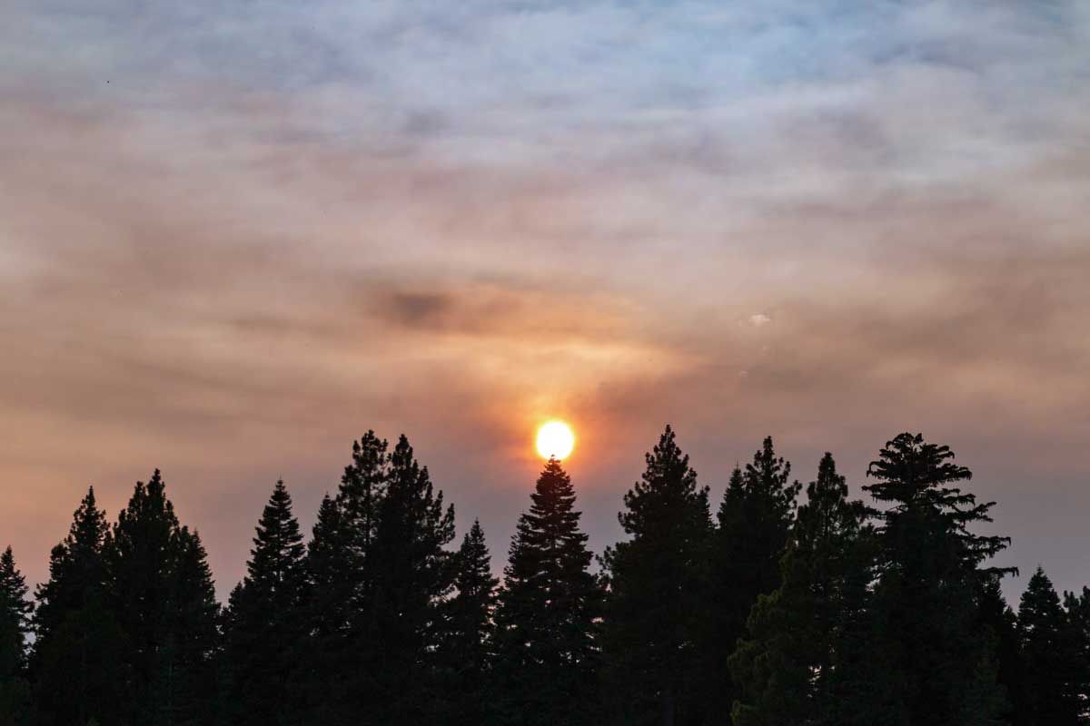 Sun setting behind silhouetted pine trees under a cloudy sky