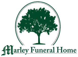 logo-image
