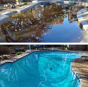 Before-and-after backyard pool: dirty, leaf-filled water transformed into a clean blue swimming pool.
