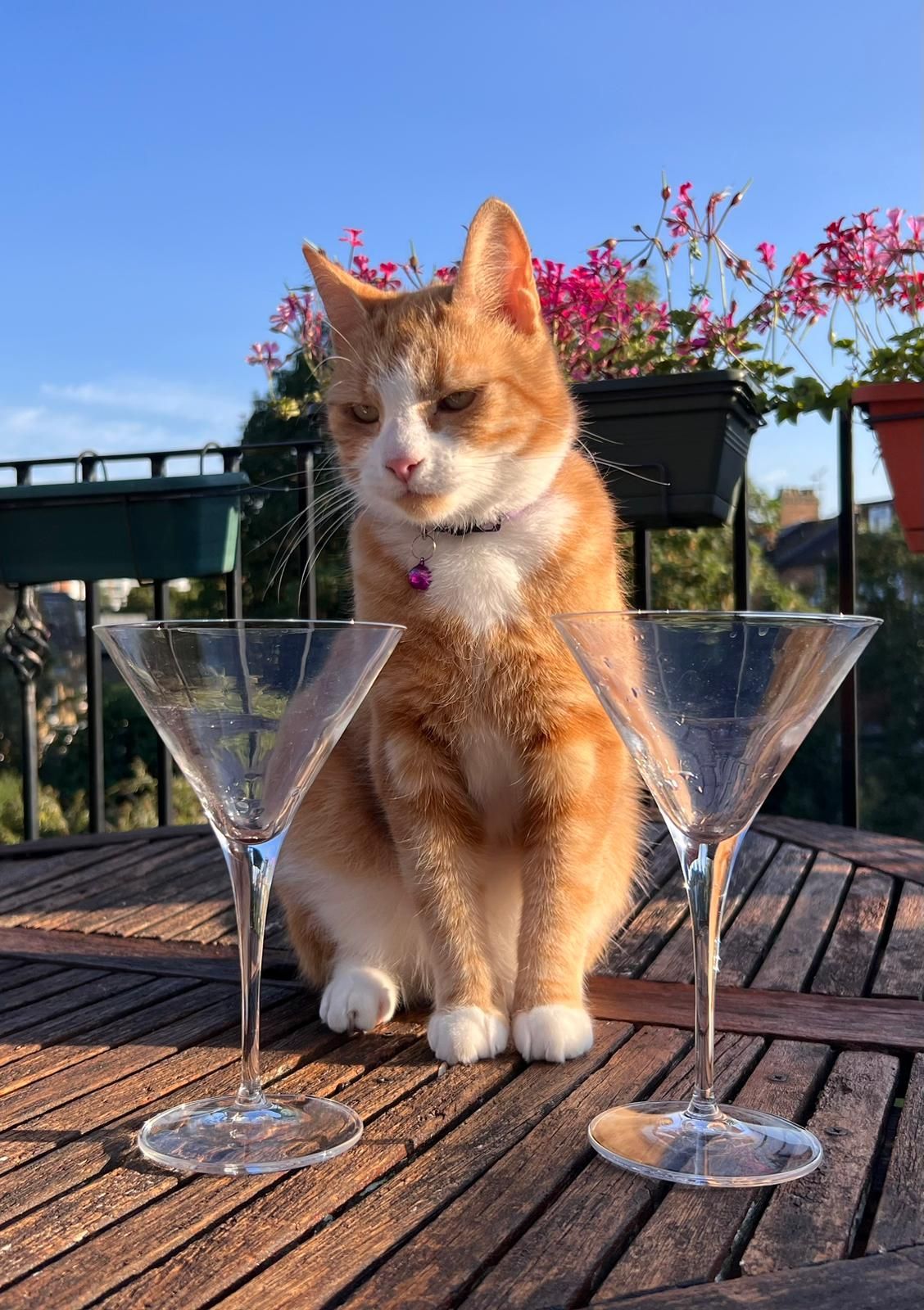 The base team leader contemplating the future after two dry martinis