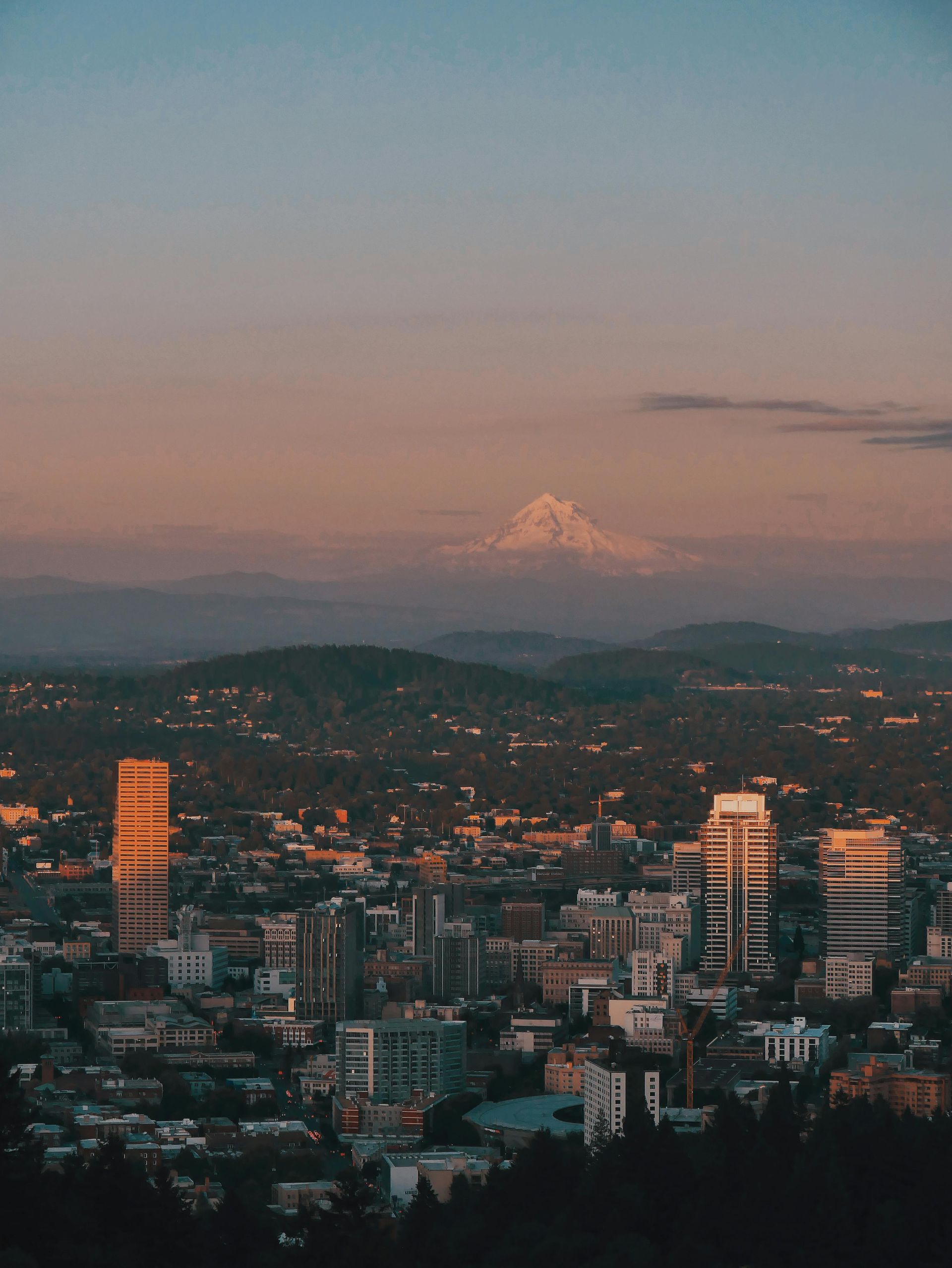 City skyline at dusk with warm lights and a snow-capped mountain in the distance