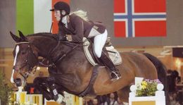 True star d'Ive springpaard
