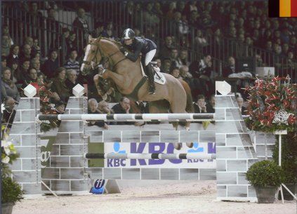 Springpaard / showjumper Banana d'Ive - ive horses - stal d'Ive