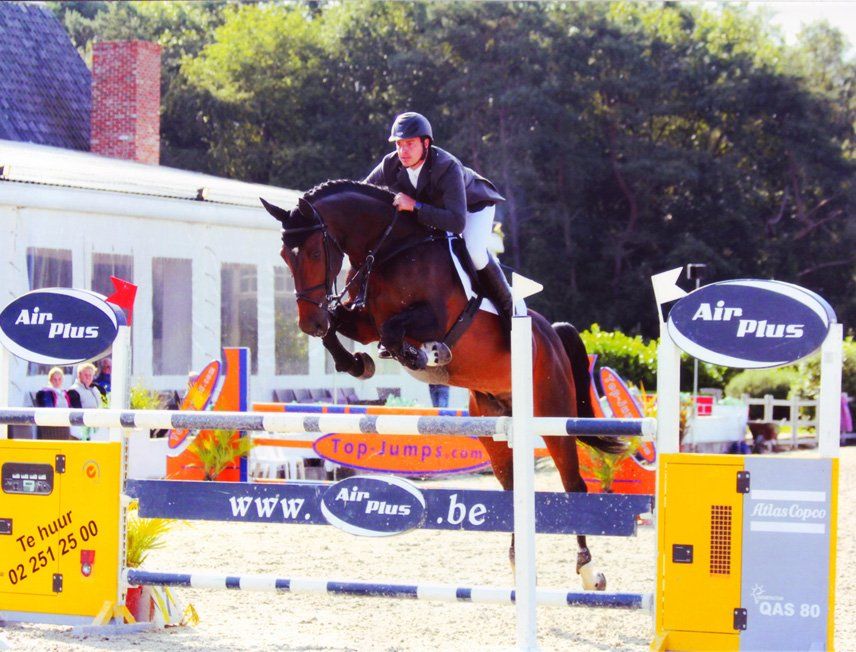 Springpaard / showjumper Centone - ive horses - stal d'Ive