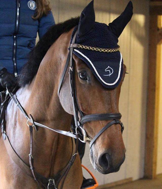 Dominick paardendekens oornetje. d'Ive-horsecare