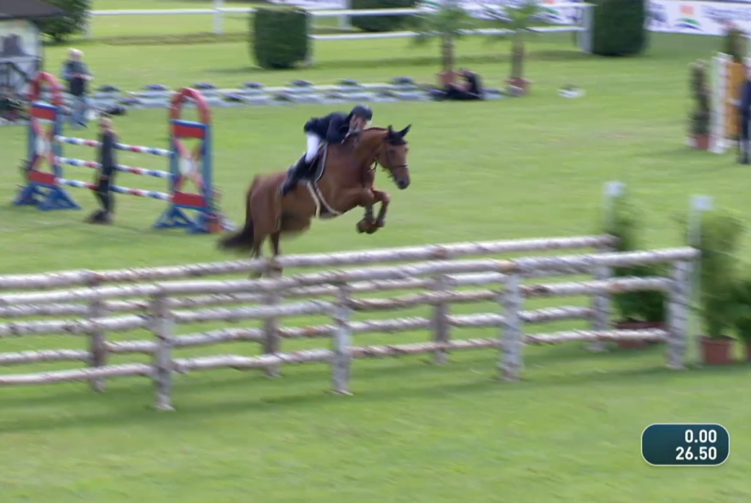 Springpaard / showjumper Cayenne d'Ive - ive horses - stal d'Ive