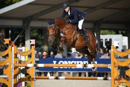Springpaard / showjumper Censation d'Ive - ive horses - stal d'Ive