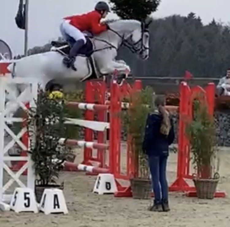 Springpaard / showjumper Ballanti d'Ive - ive horses - stal d'Ive