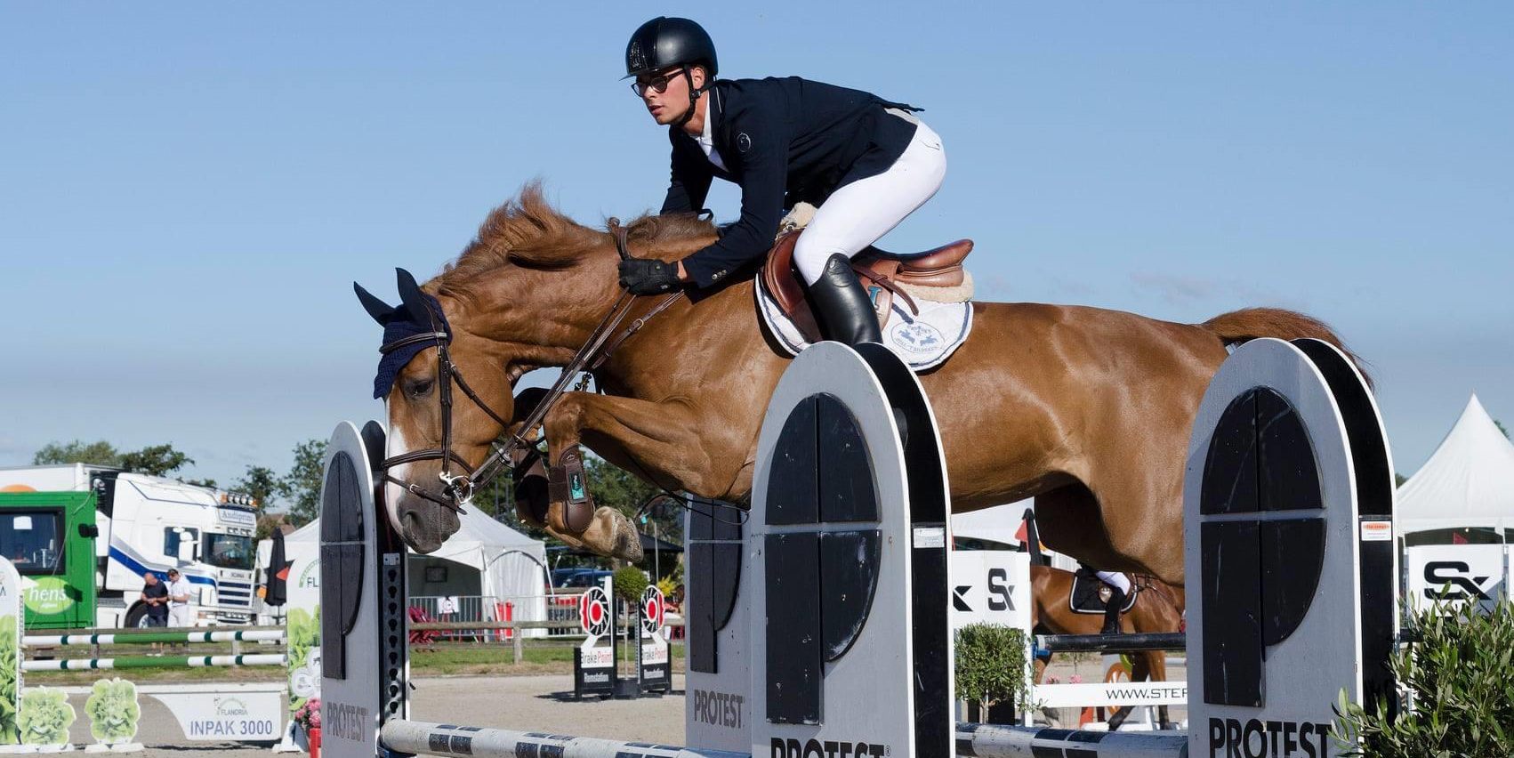 Dancing Queen d'Ive. Springpaard op jumping