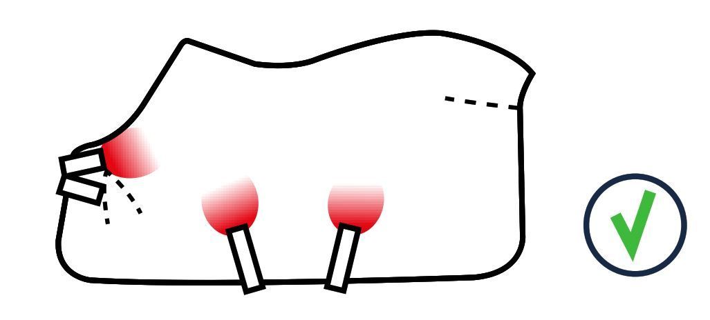 DLS technologie bij Dominick paardendekens