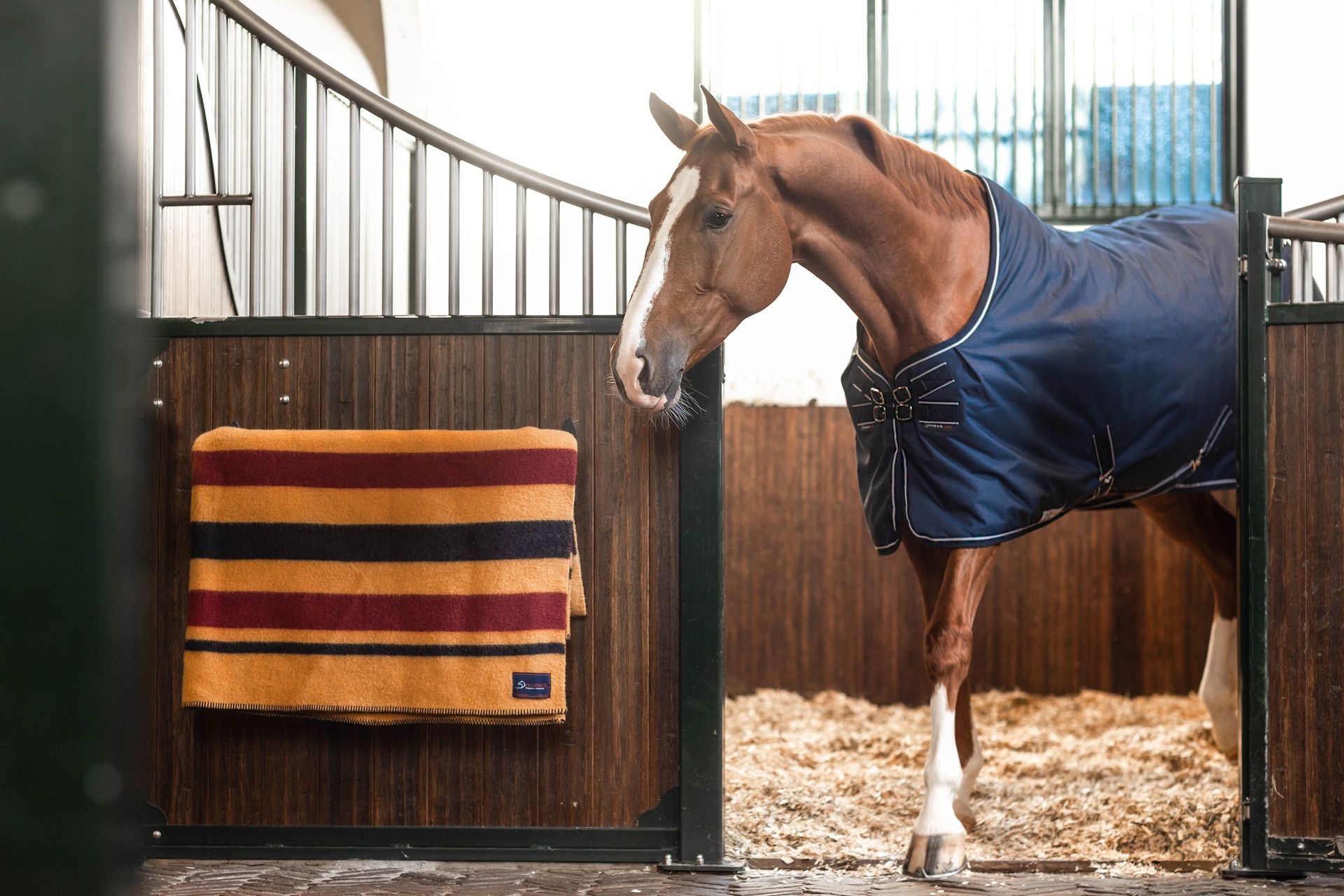 Dominick paardendekens golden stripe wollen deken. d'Ive-horsecare