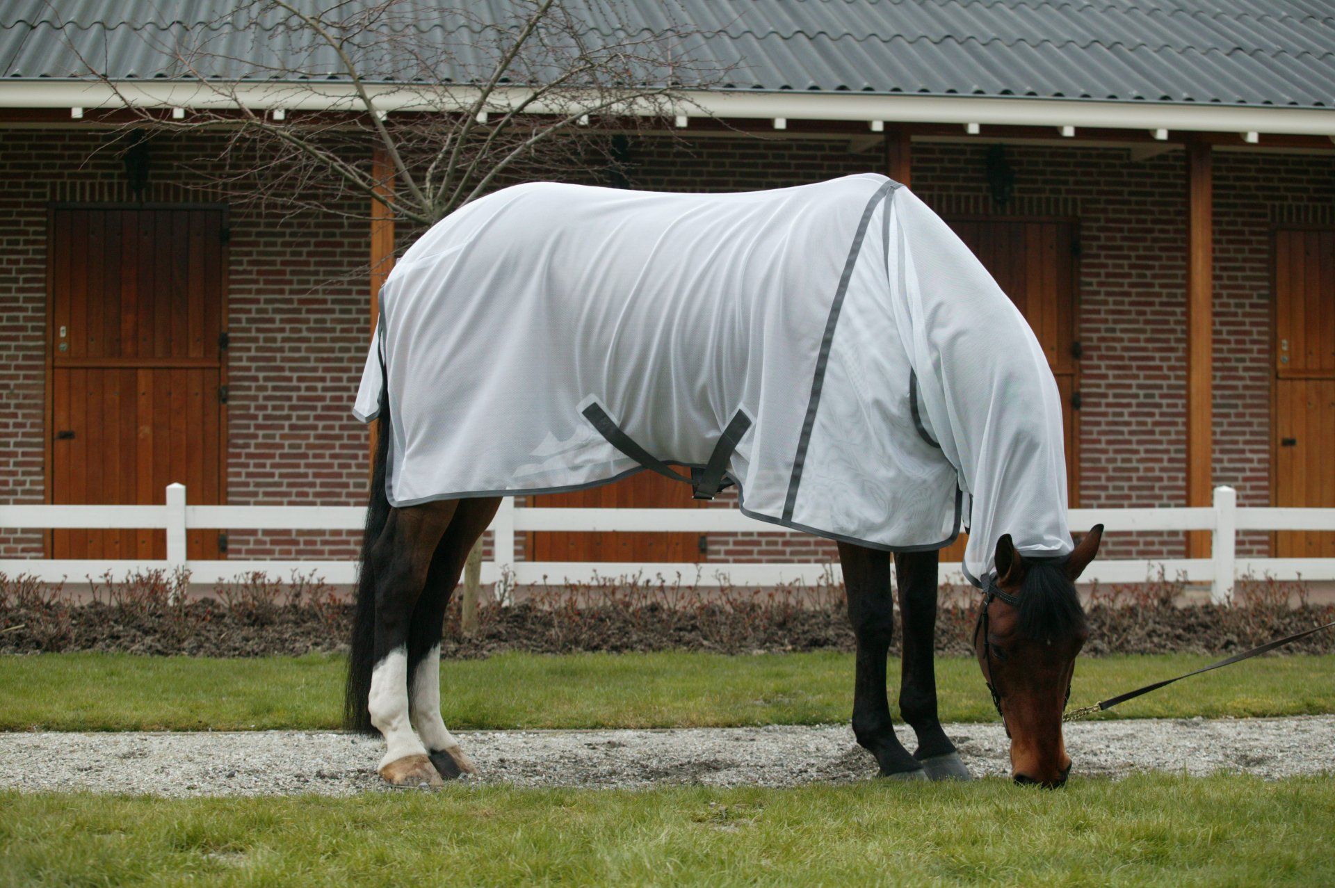 Dominick paardendekens vliegendeken met hals. d'Ive-horsecare