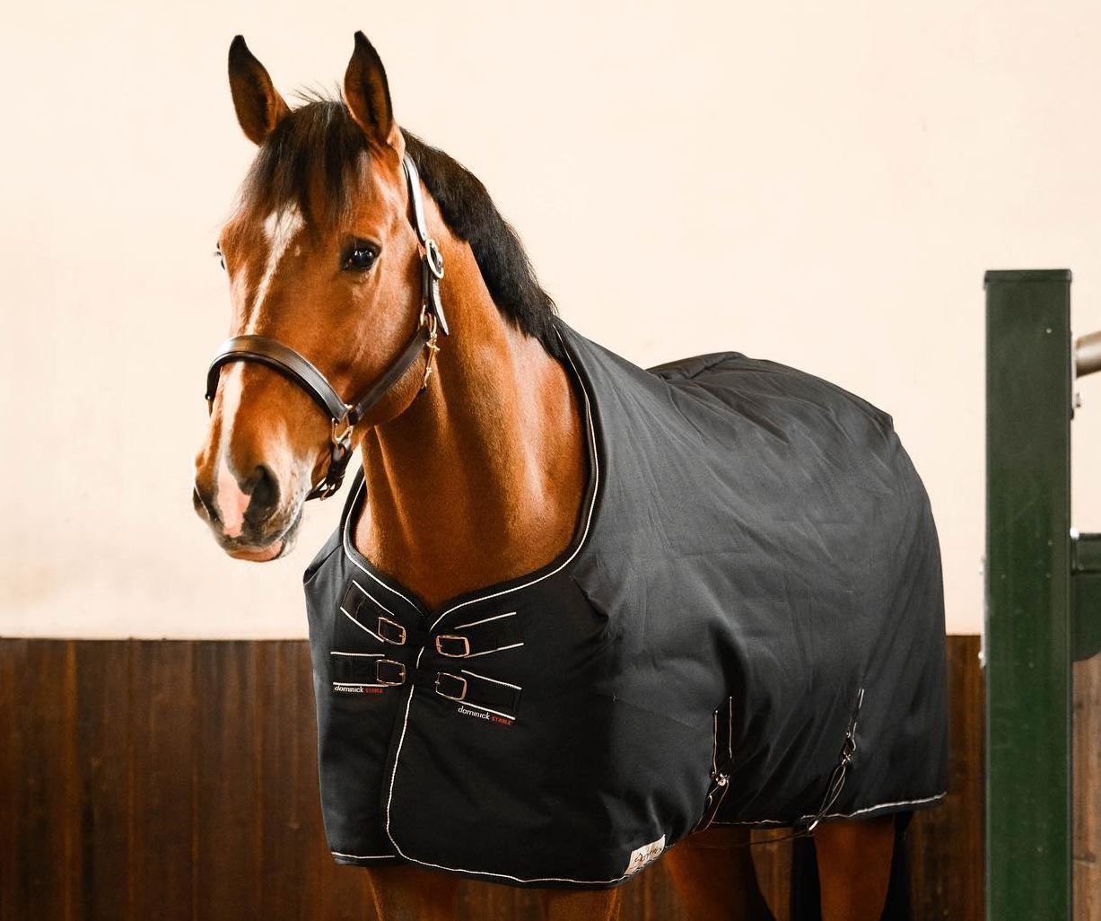 Dominick paardendekens staldeken. d'Ive-horsecare