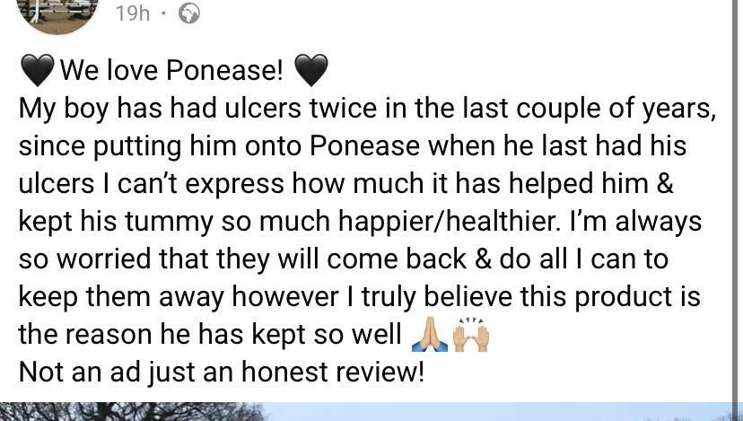 Reviews Ponease