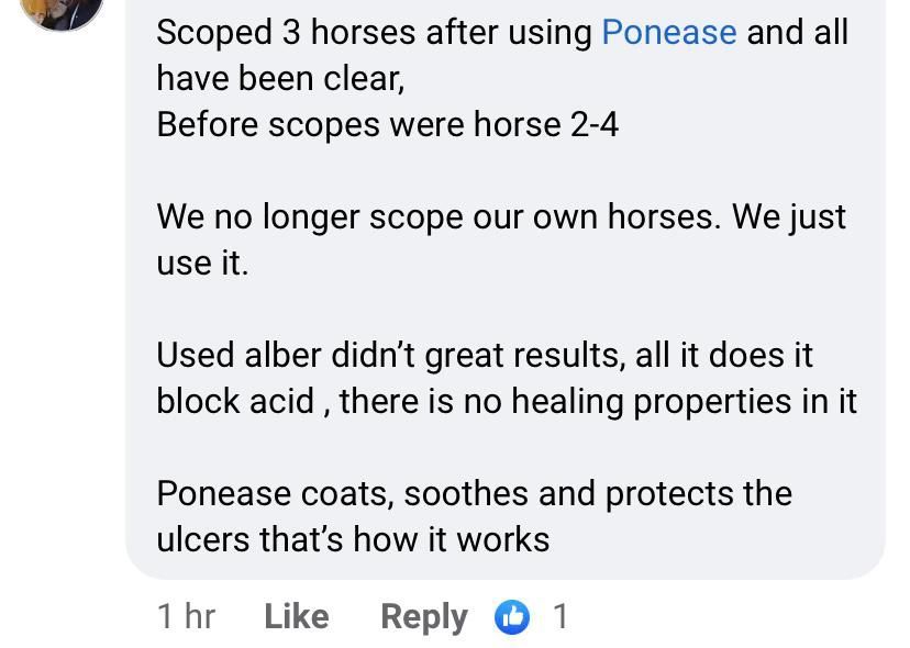 Reviews Ponease