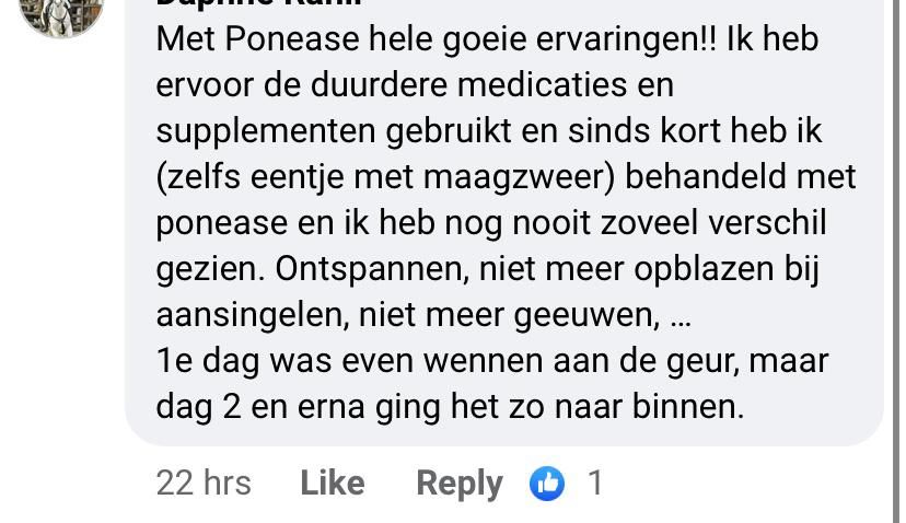 Reviews Ponease