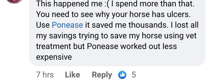 Reviews Ponease