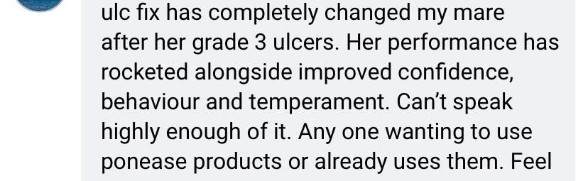 Reviews Ponease