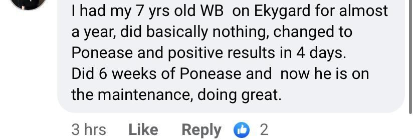 Reviews Ponease