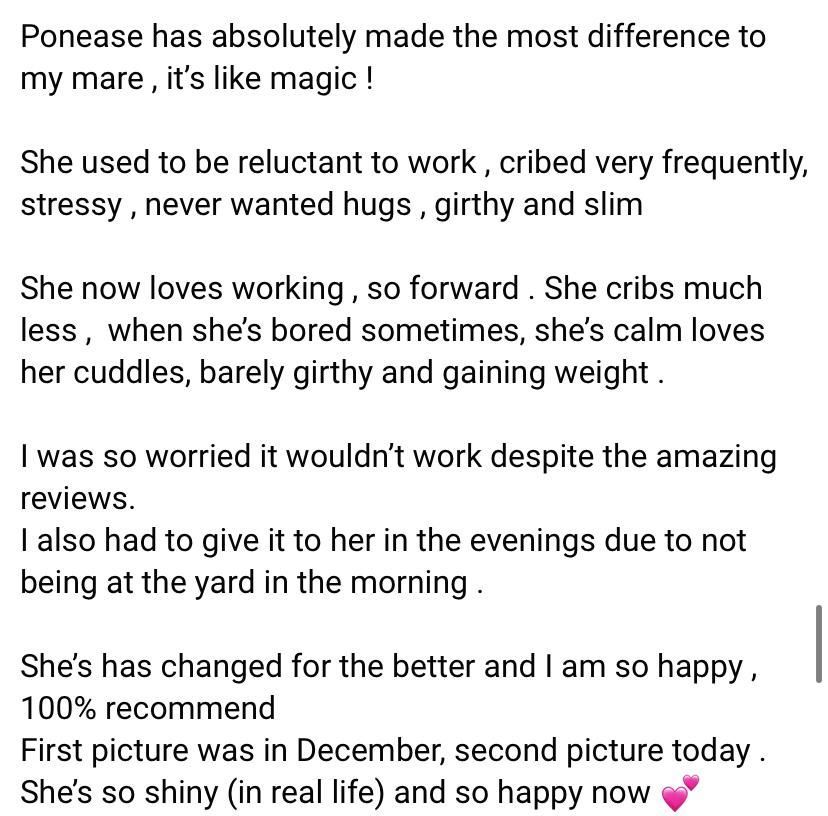 vReviews Ponease