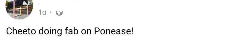 Ervaring / reviews Ponease