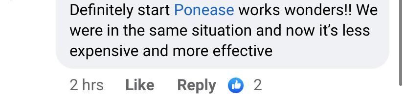 Reviews Ponease