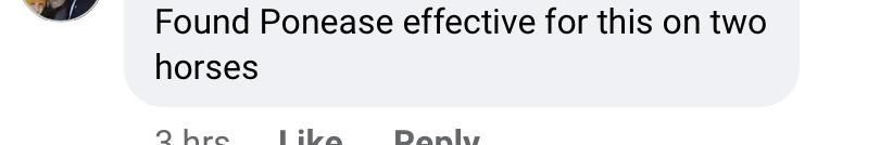 alternatief omeprazol paard